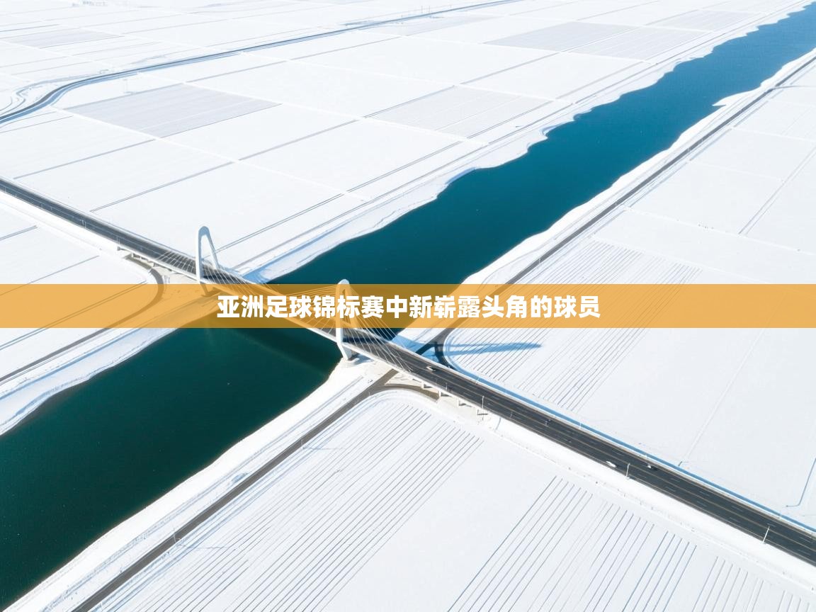 亚洲足球锦标赛中新崭露头角的球员  第1张