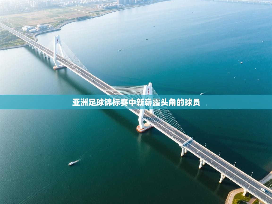 亚洲足球锦标赛中新崭露头角的球员  第2张